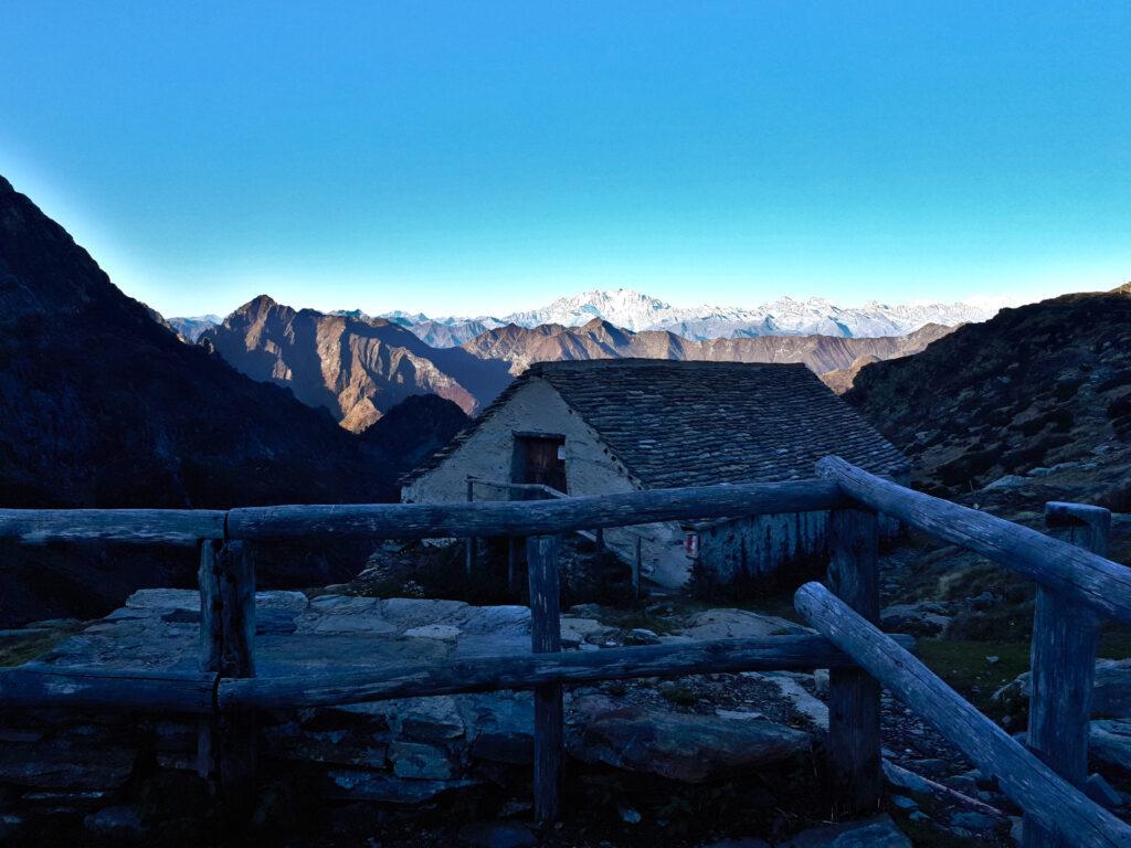 se lo chiamano "balcone panoramico" un motivo ci sarà! Il gruppo del Rosa dall'Alpe Scaredi