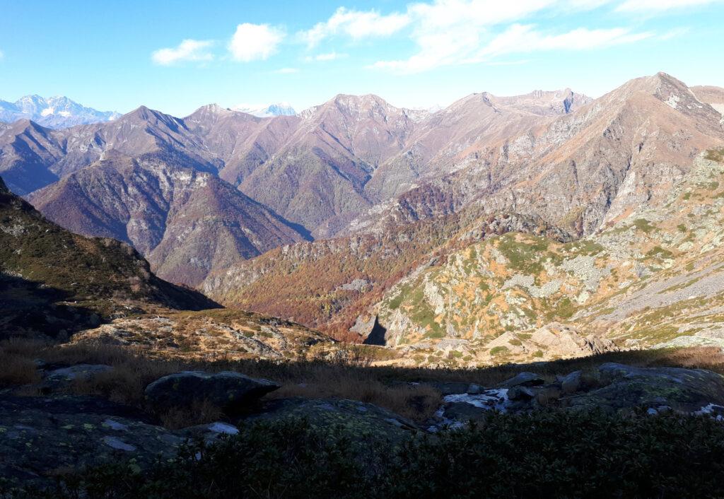 non solo il bosco, ma anche le praterie si colorano d'oro e rame