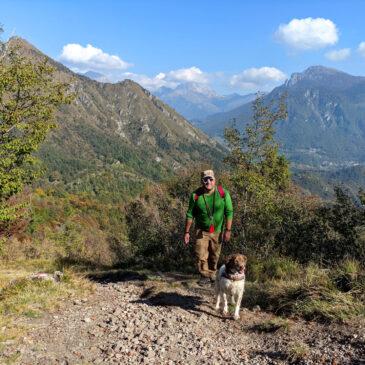 Monte Corno e Pizzo Rabbioso – Facile anello orobico con…panchina gigante!