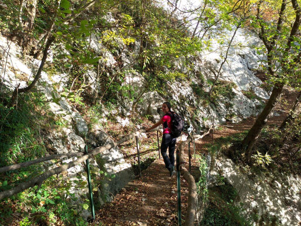 ponticello di legno: il sentiero a breve passerà accanto a delle belle placche calcaree, dove ovviamente si scala