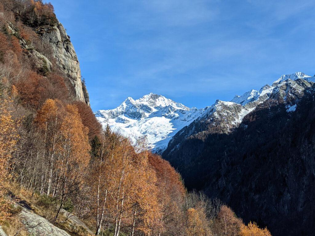 spettacolare il Disgrazia, in una giornata così tersa!