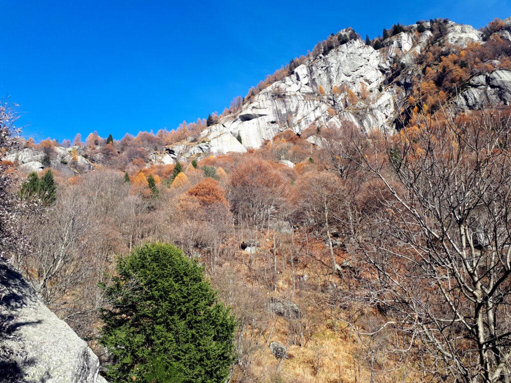 bellissime bastionate rocciose immerse nella tavolozza cromatica autunnale