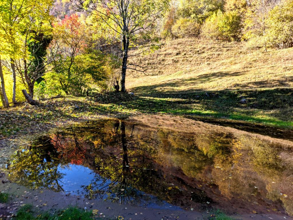 pozze che erano laghetti, in cui la natura si rispecchia