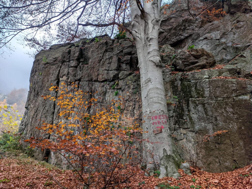 Ritornando verso il parcheggio si incontrano svariate rocce con monotiri e le indicazioni per raggiungere la cresta delle torri