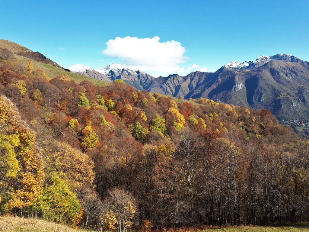 guardando verso nord est, i vividi colori del bosco