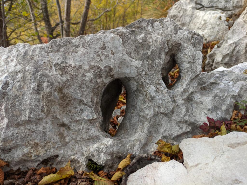 sculture calcaree su sfondo autunnale