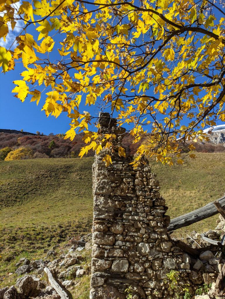 scendendo verso il Pialeral, un punto davvero panoramico, con un rudere e un grosso acero