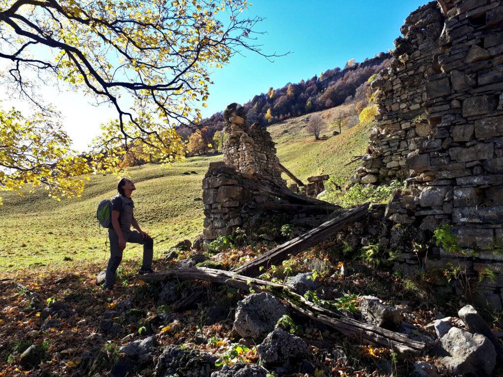 scendendo verso il Pialeral, un punto davvero panoramico, con un rudere e un grosso acero - bis