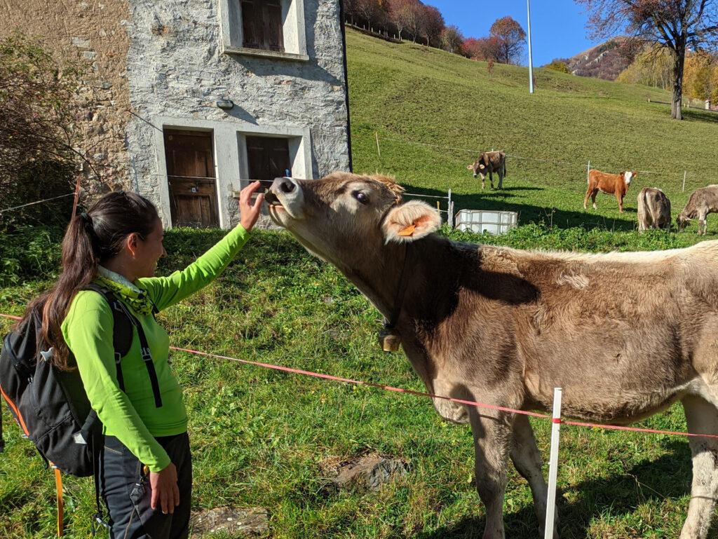 muuuuuuucche linguacciute