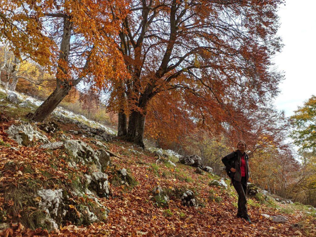 impossibile non fermarsi ogni tre per due per ammirare lo spettacolo della natura