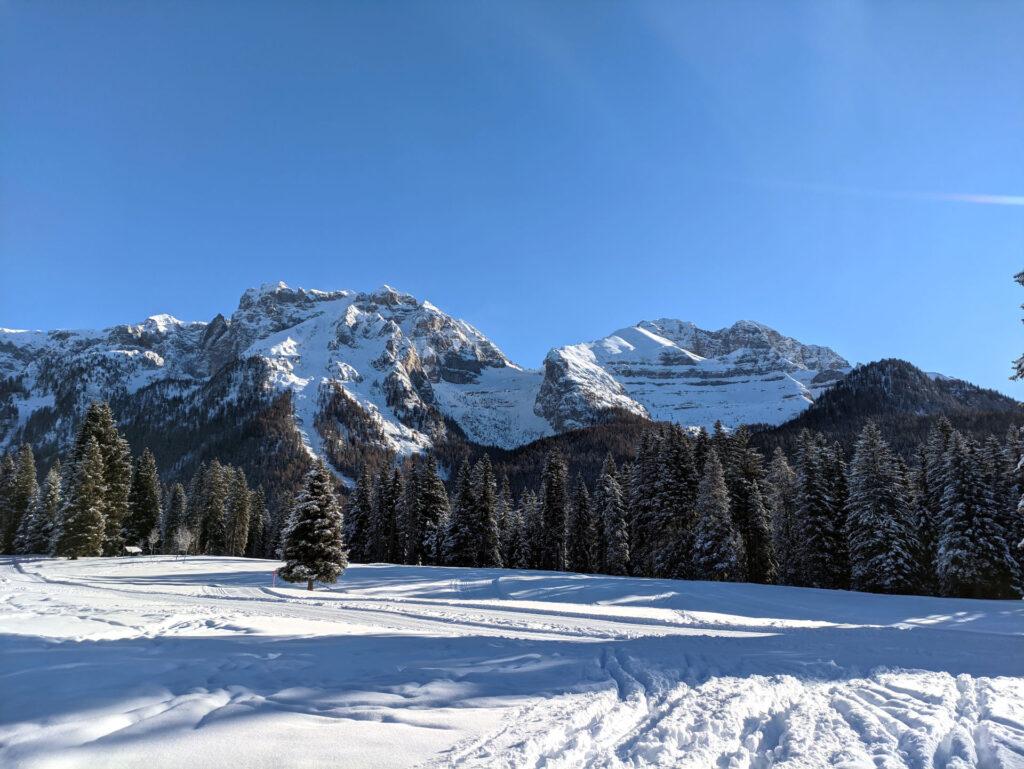 siamo sulla pista di sci di fondo, esattamente di fronte a noi la Val Gelada