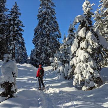 Anello malga Vaglianella – Val Gelada: ciaspo-pellata di sant’Ambroeus