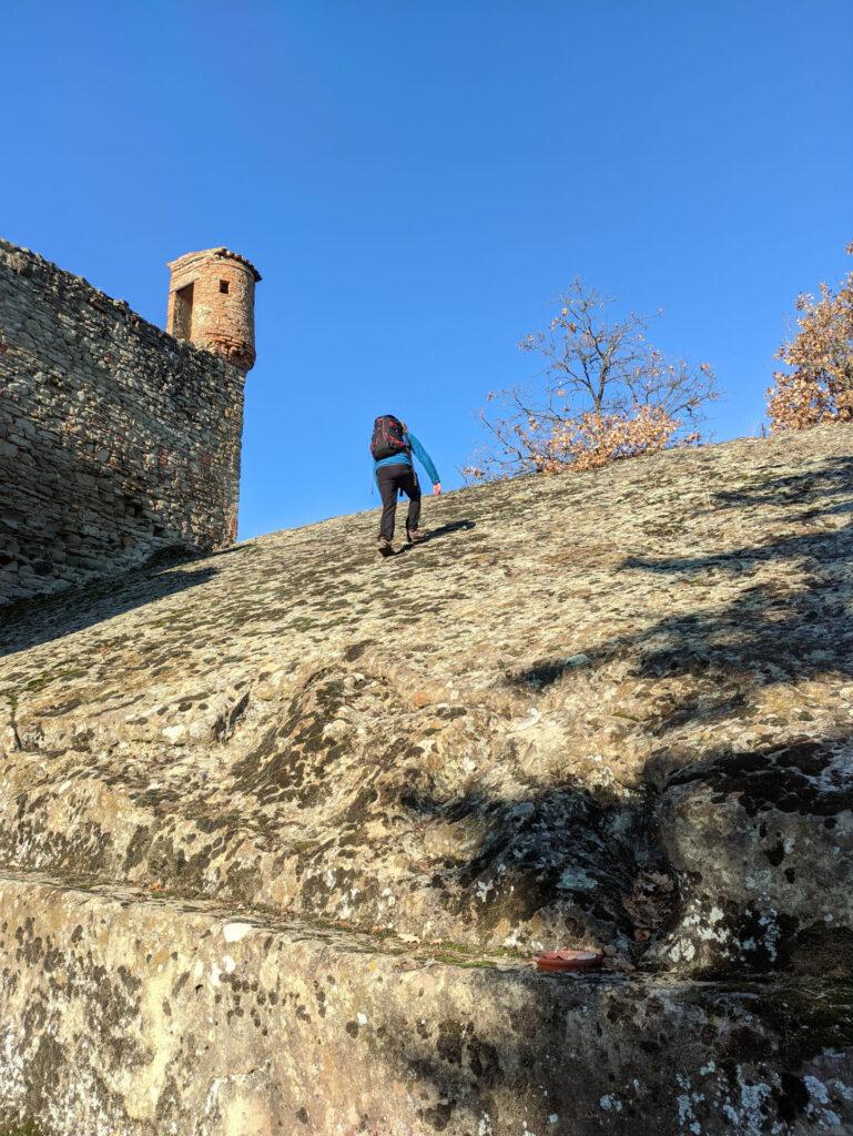 Saliamo sul muro accanto per dare un'occhiata in giro