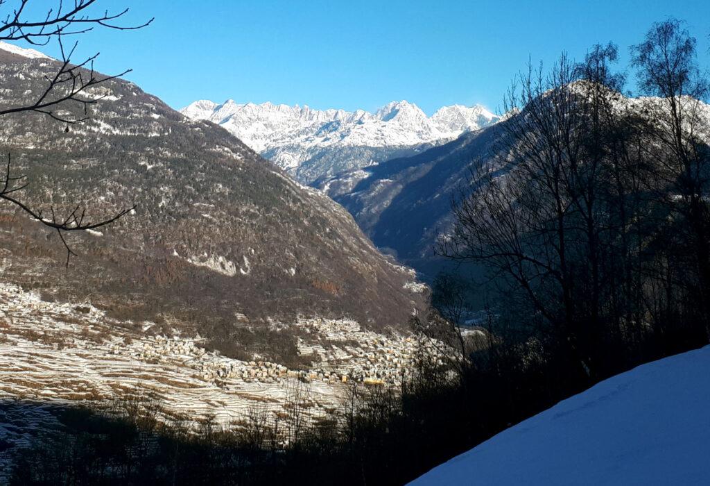 Splendida vista verso i terrazzamenti del Sassella prima di Sondrio e sulle montagne che chiudono la Val Malenco a nord