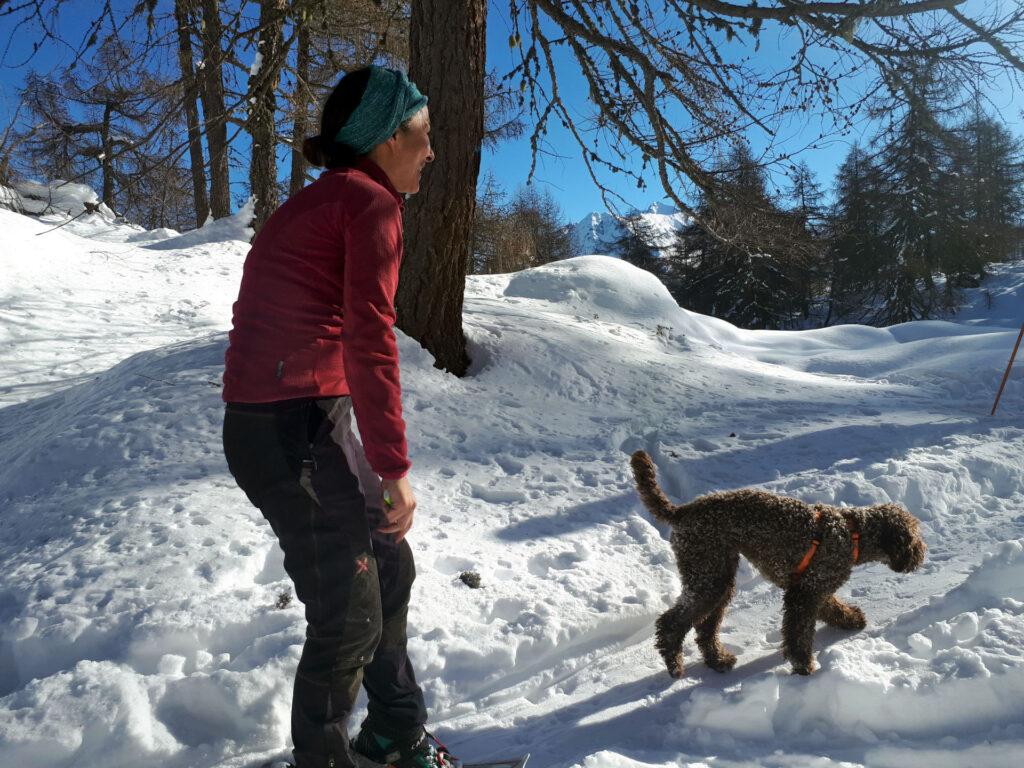Erica gioca con i cani di tutti gli scialpinisti che incontriamo lungo il percorso ;)
