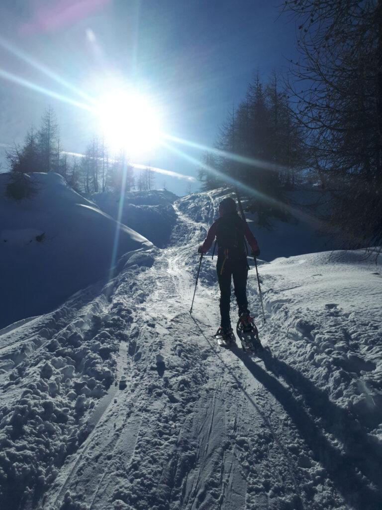 Ultimi metri prima di uscire sulla cresta. Essendo a nord, questo è il primo sole che vediamo