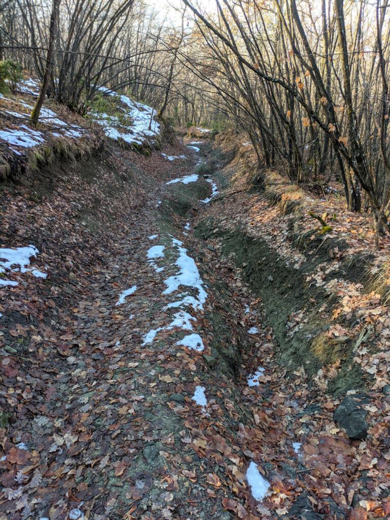 Scendendo dal monte Sereno si capisce che questo percorso è frequentato soprattutto dalle mountain bike che hanno ormai scavato dei solchi pazzeschi