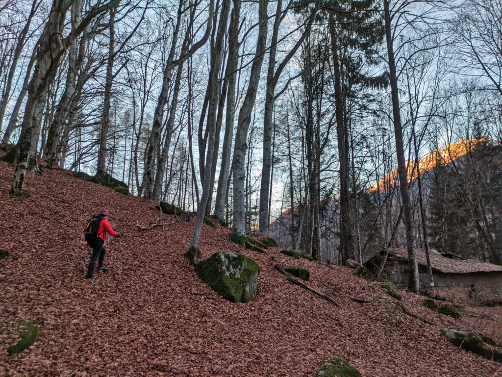 iniziamo a camminare abbastanza presto: questo è il primo taglio che abbiamo fatto nel bosco, per evitare il tratto di strada ghiacciata