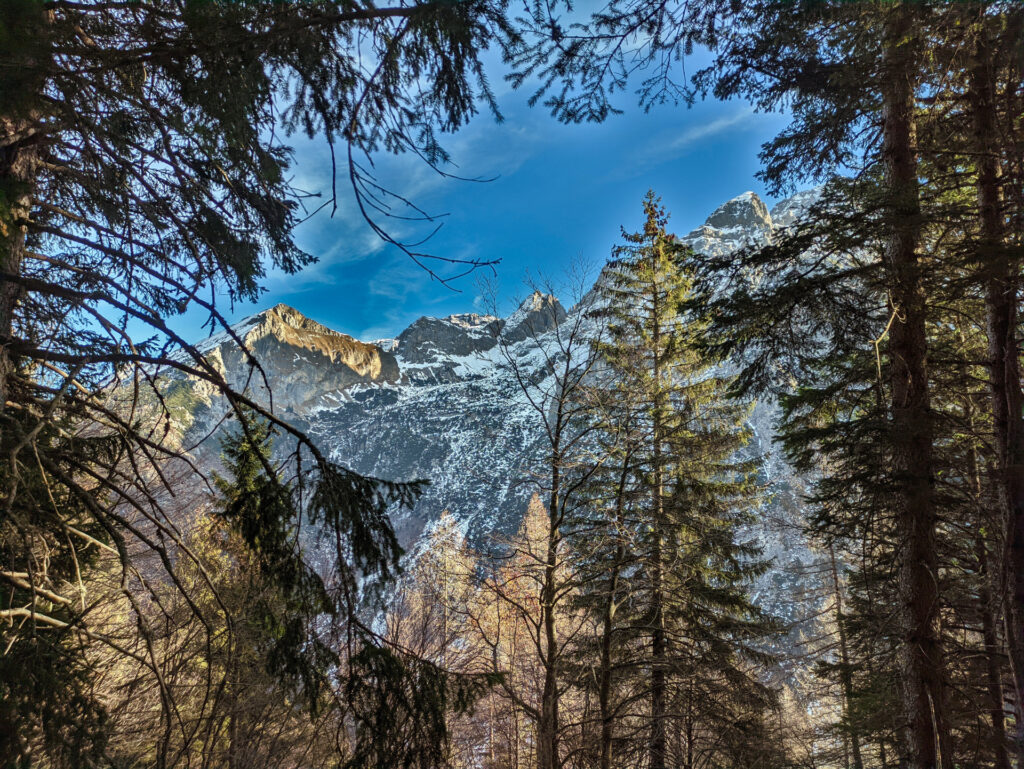 salendo oltre la Malga Plan in direzione di Malga Movlina, ecco spuntare le cime del XII Apostoli