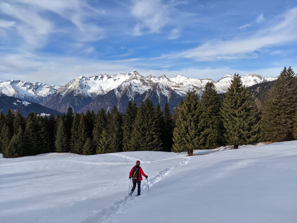 superata la Movlina si taglia puntando verso il bosco sottostante: la traccia anche in questo caso è ben battuta