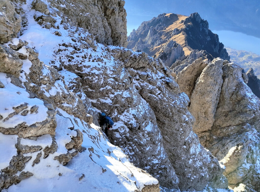 Erica sul camino da me scelto per l'uscita in cresta, meno rischioso del ghiaccio spaccoso che saliva diretto