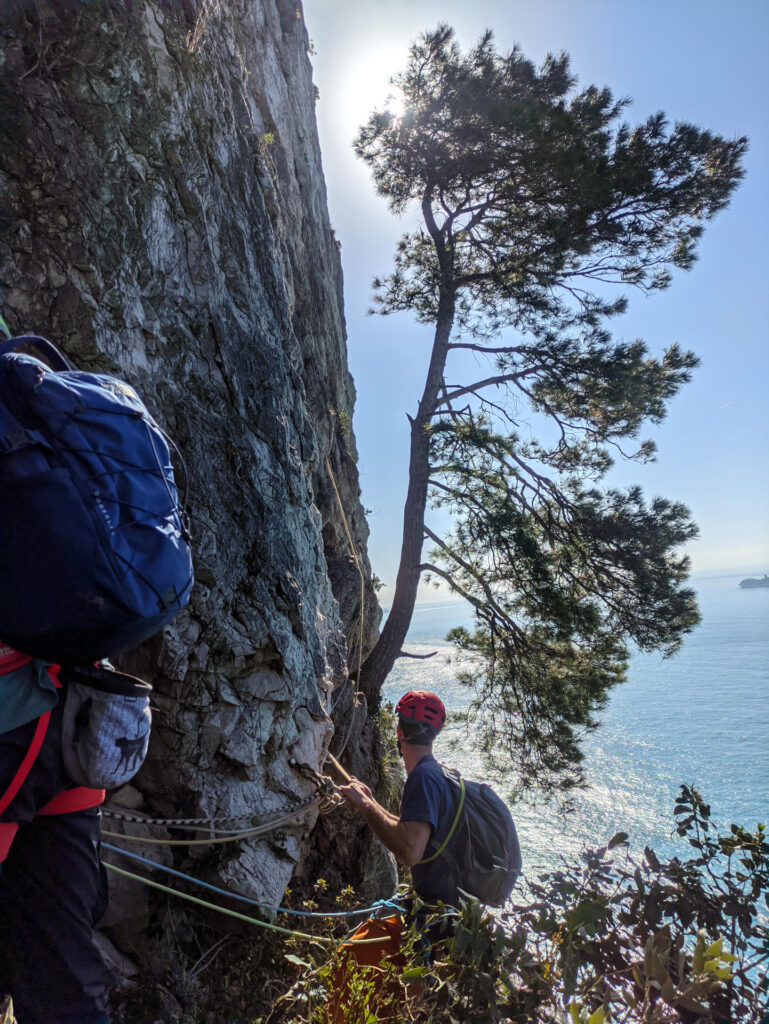 Ecco il famoso pino isolato da cui si attacca: Fede apre le danze per la prima cordata