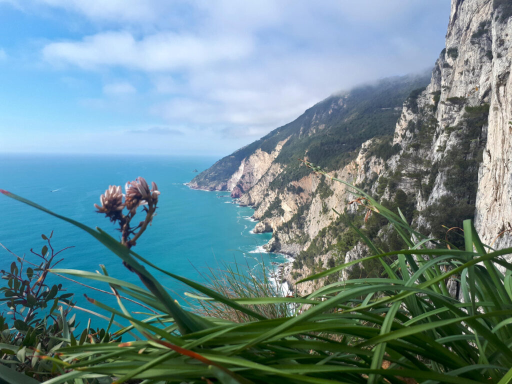 foto artistica di Erica nell'attesa in sosta