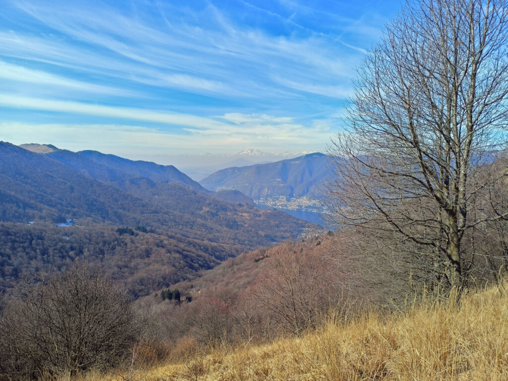 raggiunta la dorsale il panorama si apre... sul Lago di Como