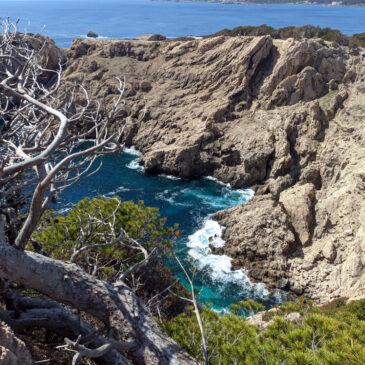 Arrampicare a Maiorca – indicazioni per brocchi (e non)