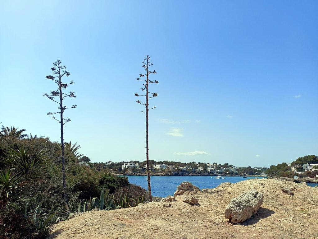 guardando verso Cala Figuera