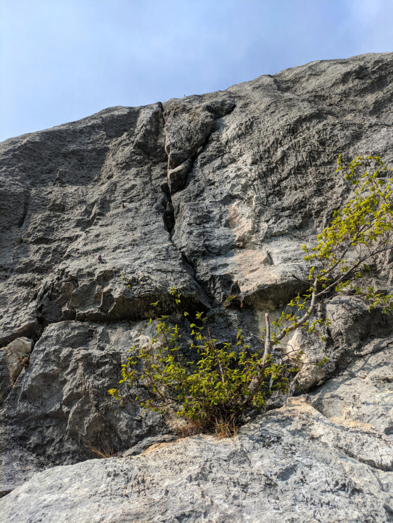 Ci si ricollega con Anabasi sotto a questo tiro strapiombante di 6b+ che porta direttamente in vetta. Noi invece andremo a destra