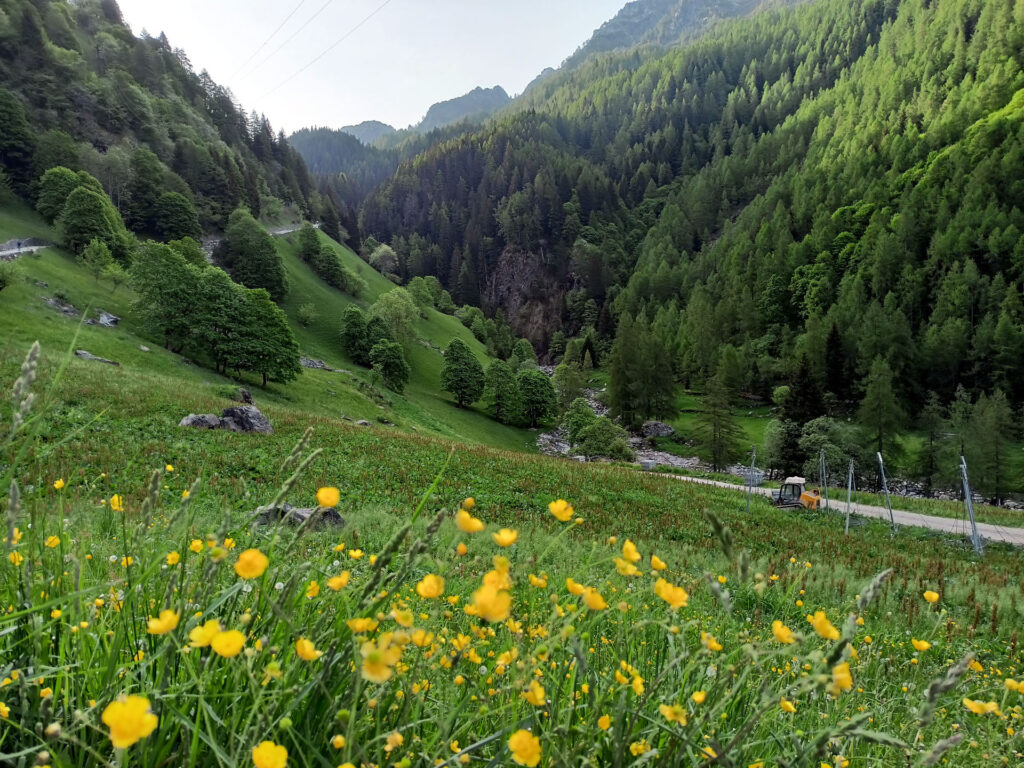 In questa stagione la natura è viva più che mai