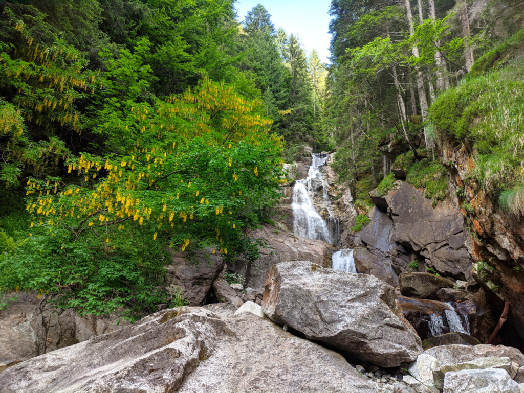 La bella cascata che si trova alla base della parete con accanto un glicine in fiore