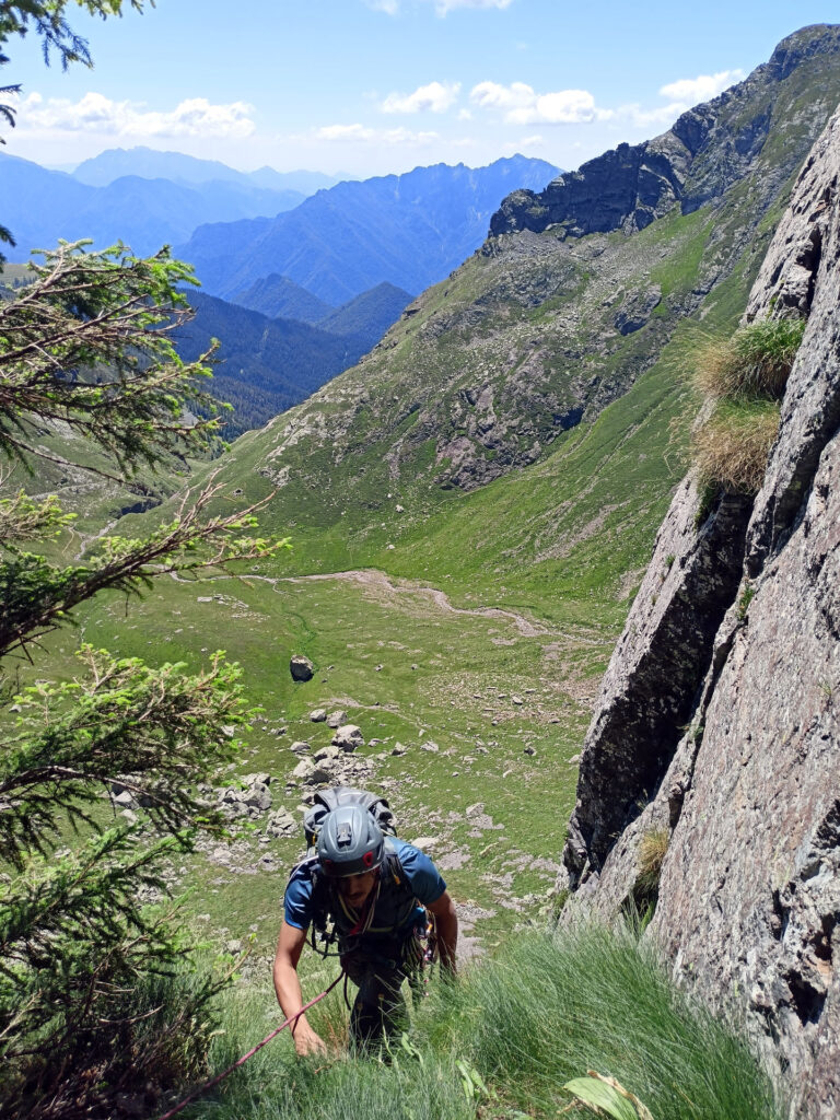 Ed ecco Gab in arrivo alla sosta accanto al pino, ben consapevole che tra breve toccherà a lui andare in guerra :P