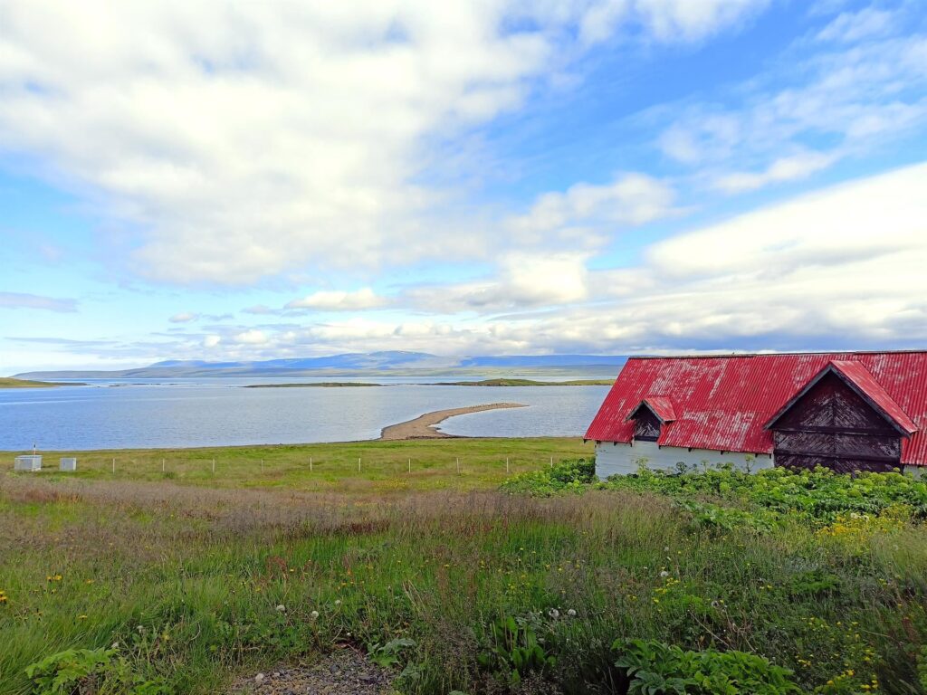 i tetti colorati (in genere rossi o blu) delle casette islandesi