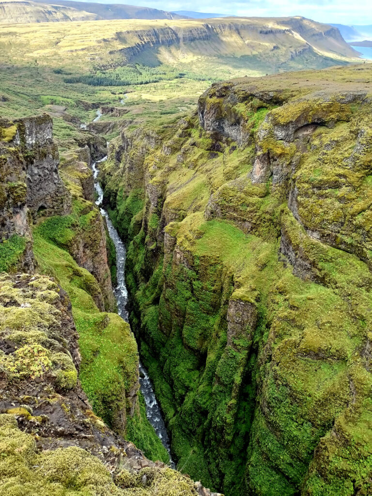 la gola incassata del canyon, dentro la quale svolazzano i gabbiani