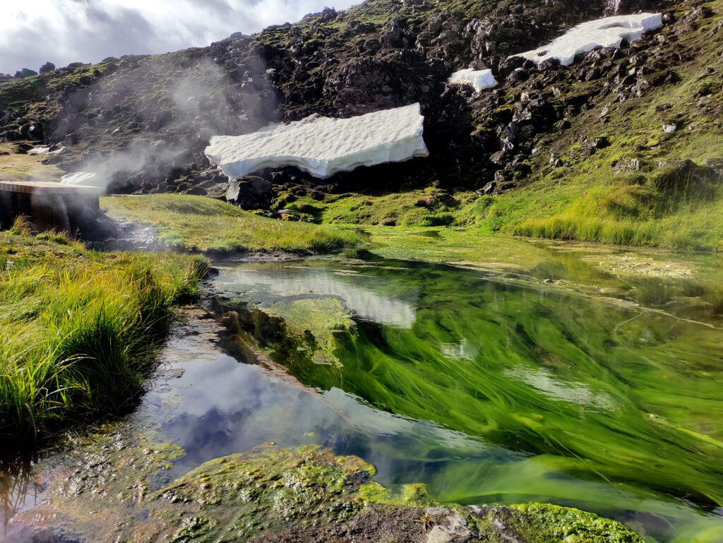 sorgente d'acqua termale, e relativa proliferazione di alghe