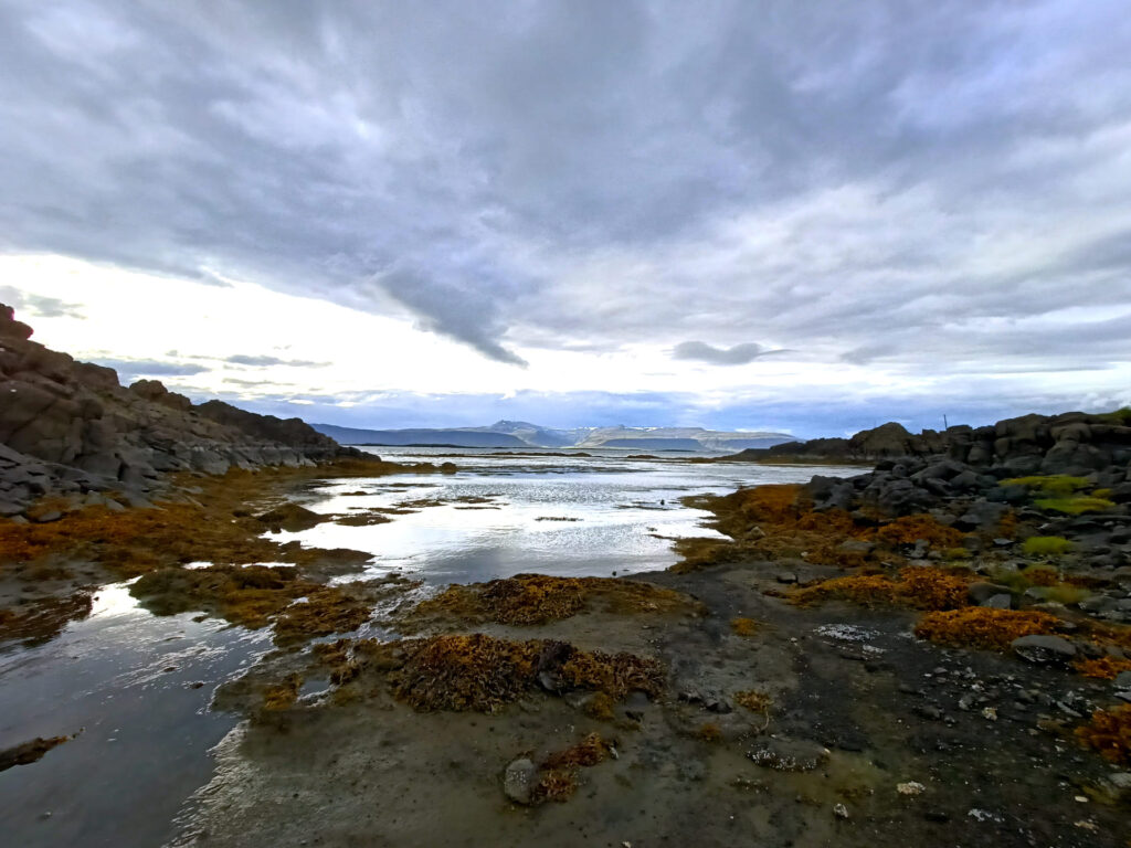 una delle mille belle spiagge lungo i fiordi