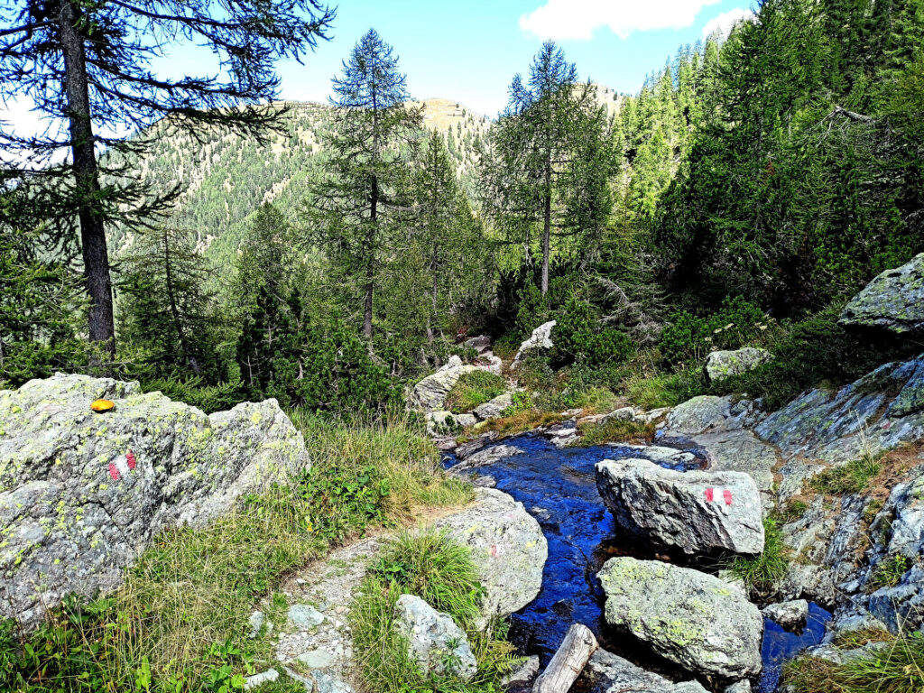il bel sentiero che percorre il versante orientale della Val Tronella