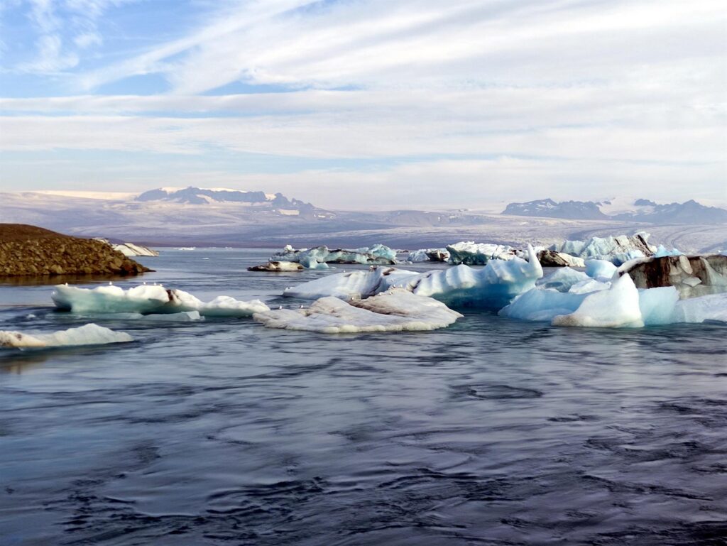 e nella laguna (gigantesca) un pullulare di vita anfibia