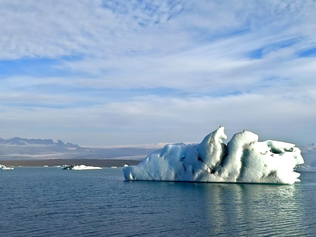 i gabbiani fanno una crociera sull'iceberg