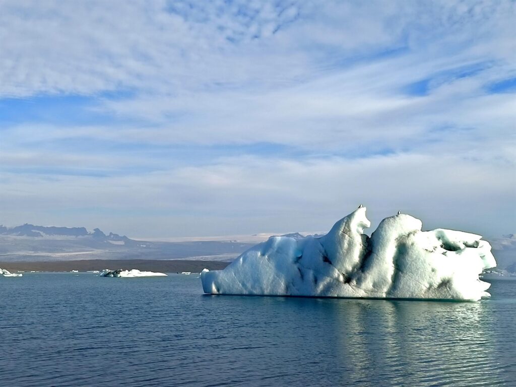 i gabbiani fanno una crociera sull&#039;iceberg