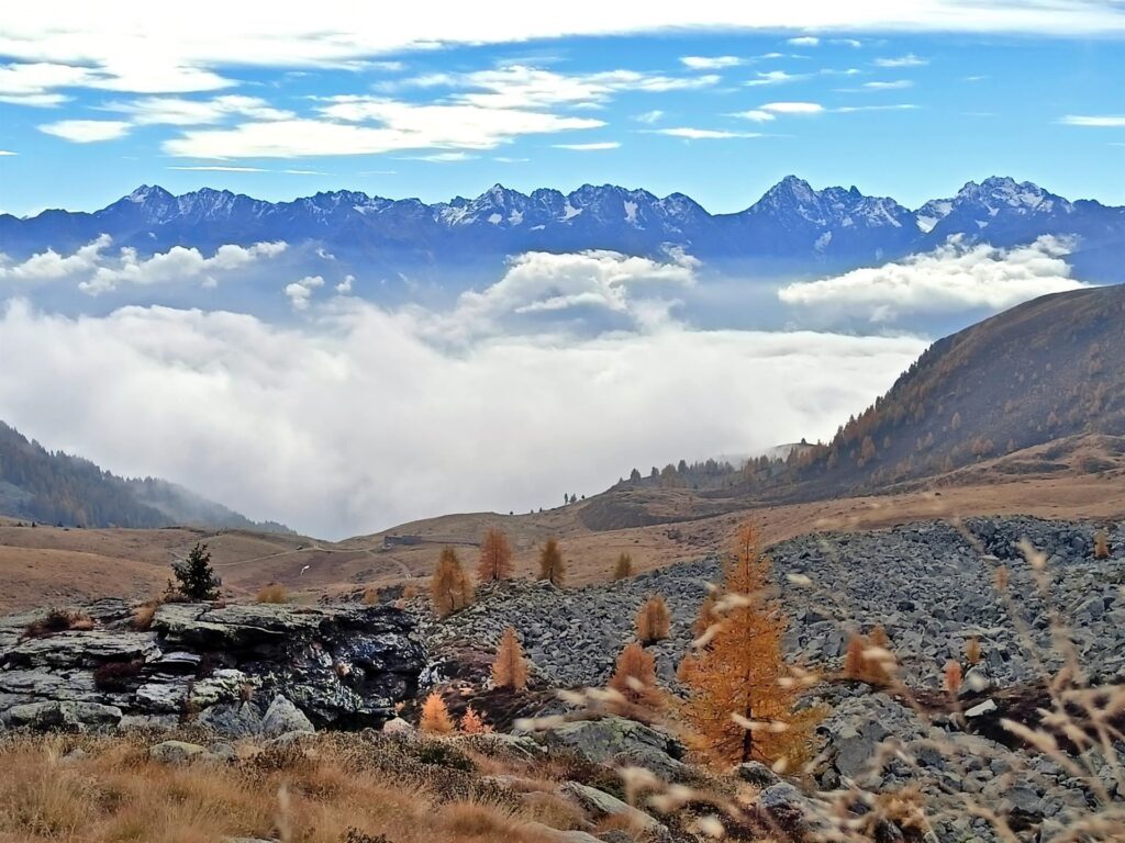prendiamo quota sulle pietraie, dove i larici solitari stanno colonizzando l&#039;ambiente