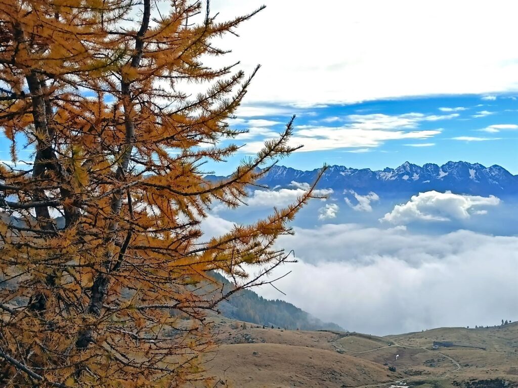 le orobie si fanno finalmente vedere bene: un muro verticalissimo di roccia dall'altra parte della Valtellina