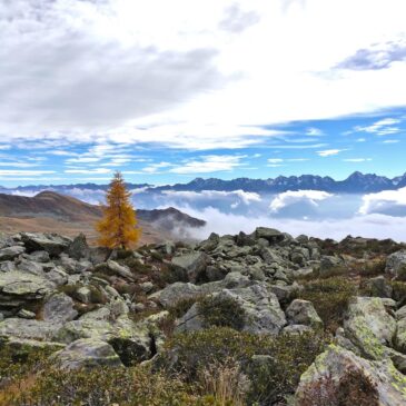 Cime di Rogneda, Corna Nera: anello autunnale dall’Alpe Mara