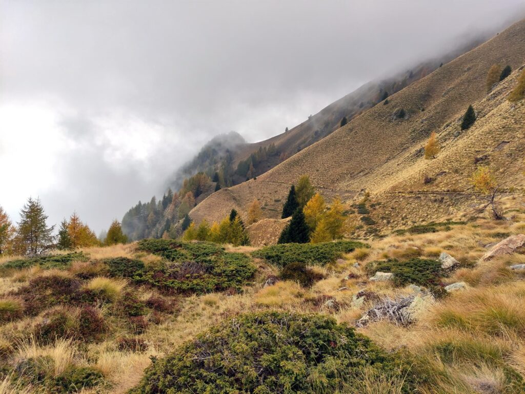 tornando indietro il traverso che dall'Alpe Rogneda riporta all'Alpe Mara