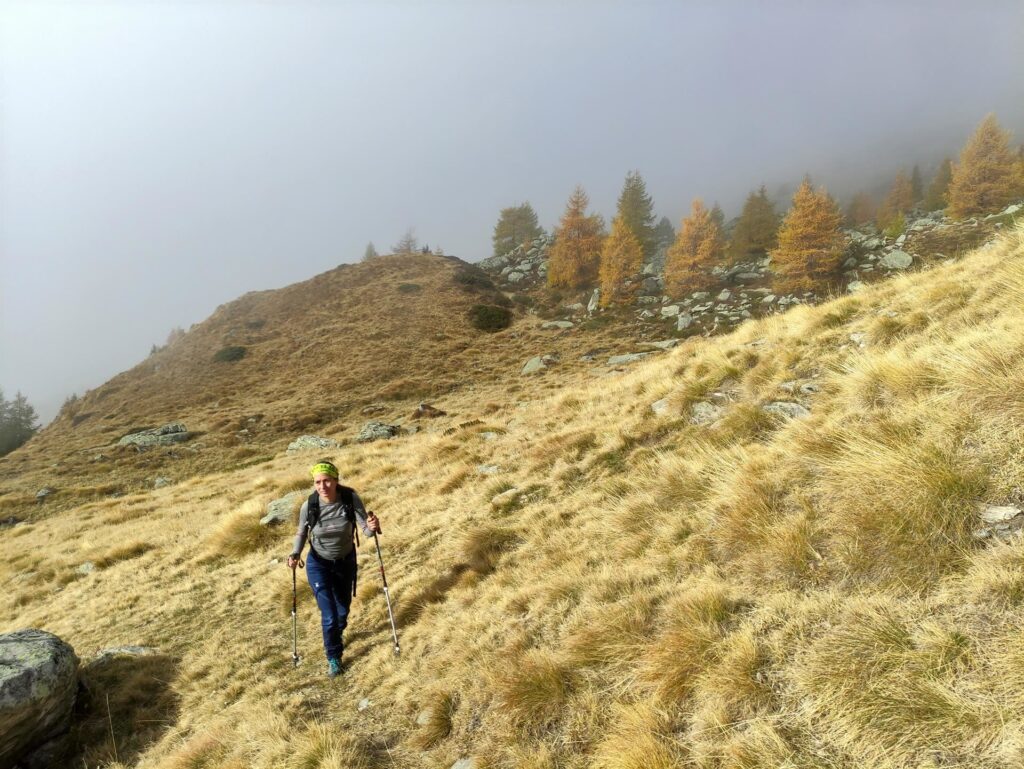 l'erba stronza rimane stronza, ma in questa stagione è anche bella!