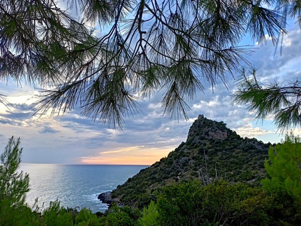 peccato che il sentiero per raggiungere la torre non sia attualmente accessibile, perchè mangiato dalla vegetazione