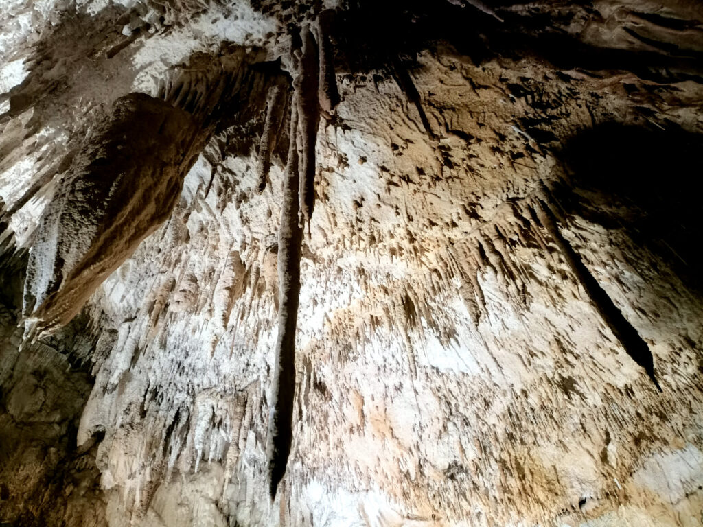 Pompeo ci ha spiegato come si formano le stalattiti: al loro interno sono cave, e in questa grotta è possibile vederne alcune "in sezione"