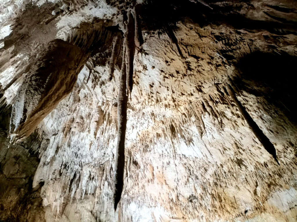 Pompeo ci ha spiegato come si formano le stalattiti: al loro interno sono cave, e in questa grotta è possibile vederne alcune &quot;in sezione&quot;